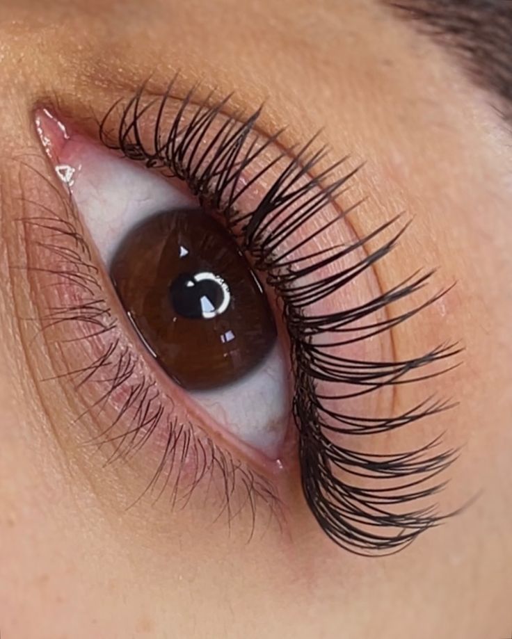 Flat Lashes